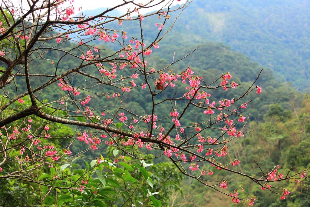 Spring Spa Hotel Wulai Exterior foto
